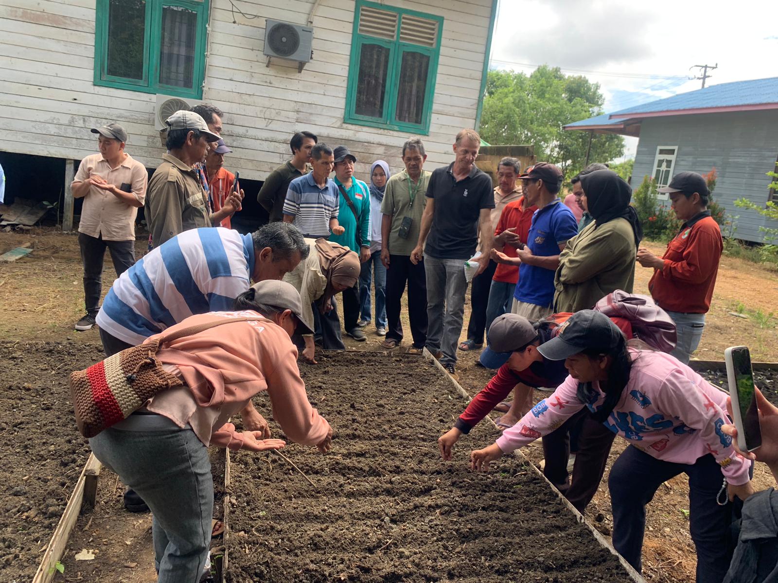 Pelatihan Budidaya Bawang Merah Mendorong Inovasi dan Kolaborasi Pertanian